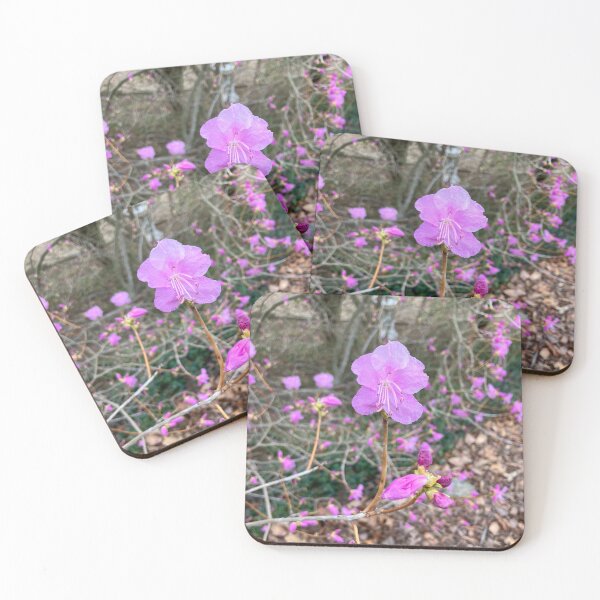 Item preview, Azalea 2 designed and sold by Amanda1775.