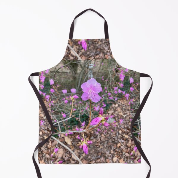 Item preview, Azalea 2 designed and sold by Amanda1775.