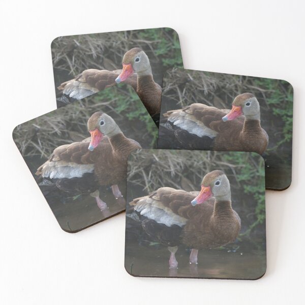 Item preview, Black-bellied Whistling-Duck designed and sold by EnglandEcology.