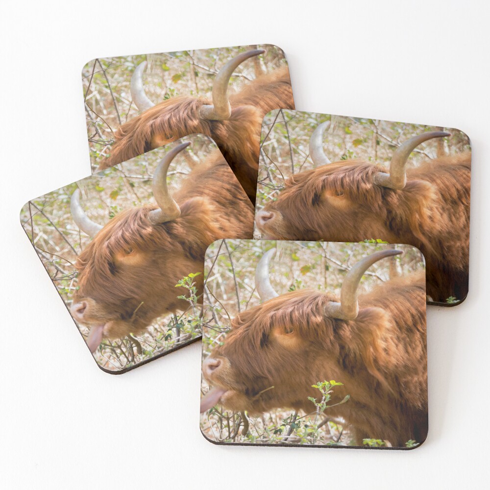 Item preview, Coasters (Set of 4) designed and sold by JEZ22.