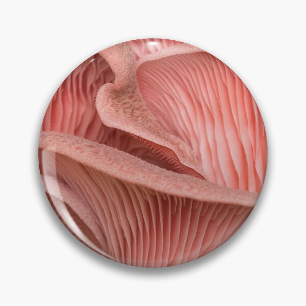 Item preview, light pink pleurotus mushroom designed and sold by JEANMPHOTOS.