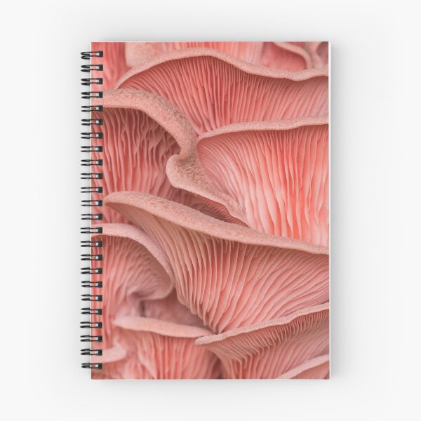 Item preview, light pink pleurotus mushroom designed and sold by JEANMPHOTOS.