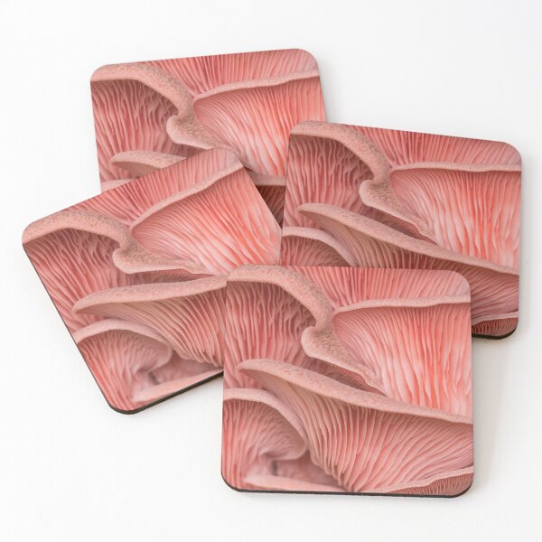 Item preview, light pink pleurotus mushroom designed and sold by JEANMPHOTOS.