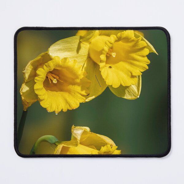 Item preview, Christian Easter Nessage designed and sold by 1icreations.