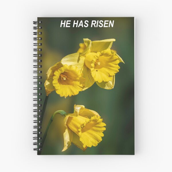 Item preview, Christian Easter Nessage designed and sold by 1icreations.