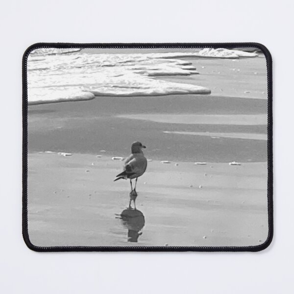 Item preview, Blank And White Photo of Bird, waiting on the lord designed and sold by Laura Redden.