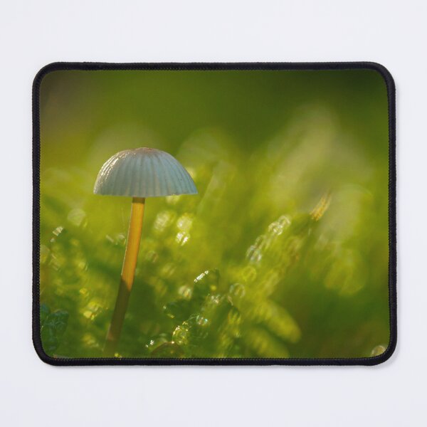 Item preview, Macro Mushroom Photograph designed and sold by Slalon85.