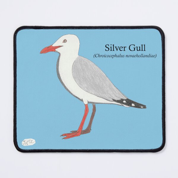 Item preview, Gaviota Plateada nombrada designed and sold by JayceTheCC.