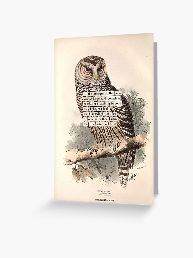 Thumbnail 1 of 2, Greeting Card, Bird Divination: Barred Owl (almanacofbirds.org) designed and sold by mariapopova.