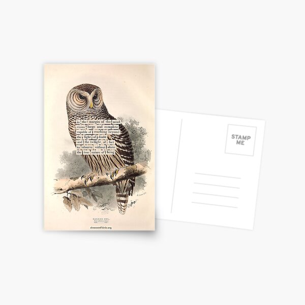 Item preview, Bird Divination: Barred Owl (almanacofbirds.org) designed and sold by mariapopova.