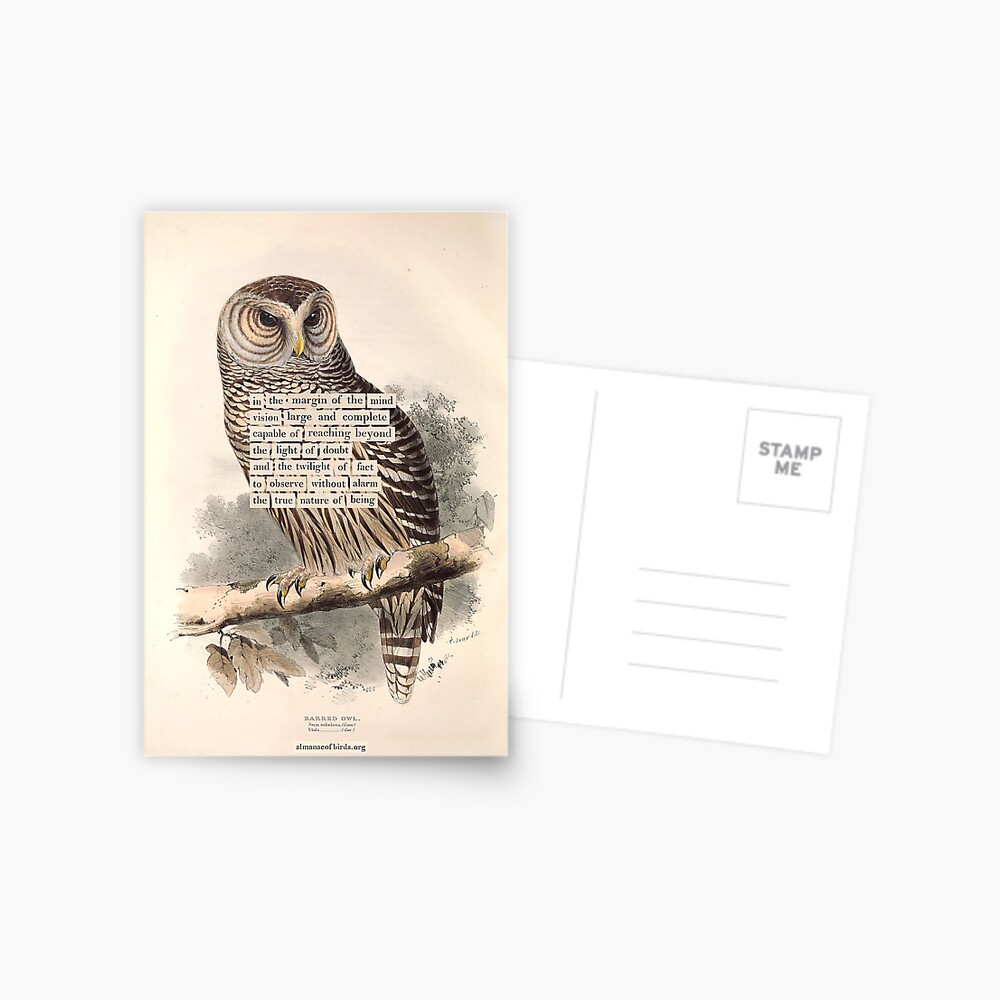 Item preview, Postcard designed and sold by mariapopova.