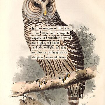 Artwork thumbnail, Bird Divination: Barred Owl (almanacofbirds.org) by mariapopova