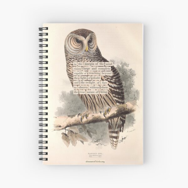 Item preview, Bird Divination: Barred Owl (almanacofbirds.org) designed and sold by mariapopova.
