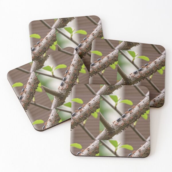 Item preview, Twig Traffic designed and sold by MIIKE DESIGN.