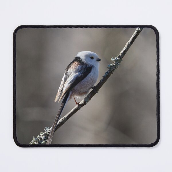 Item preview, Long-tailed tit Gray series 1 designed and sold by Jouko Lehto Photography.
