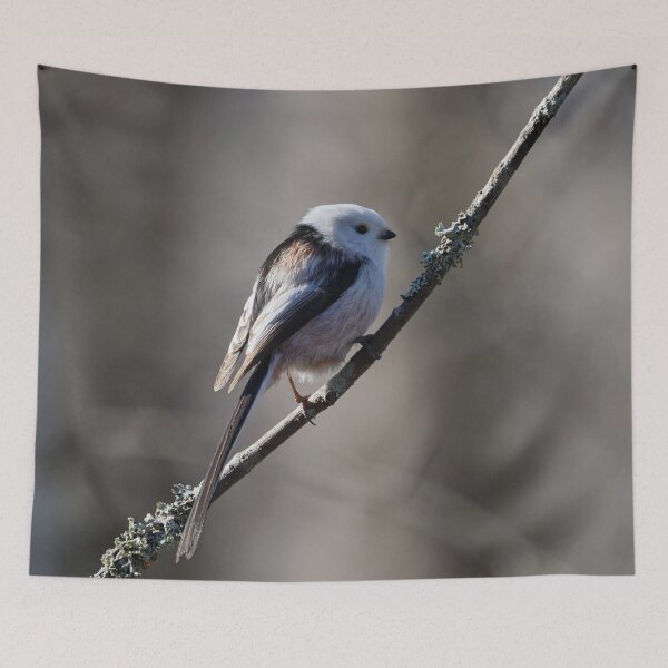 Item preview, Long-tailed tit Gray series 1 designed and sold by Jouko Lehto Photography.