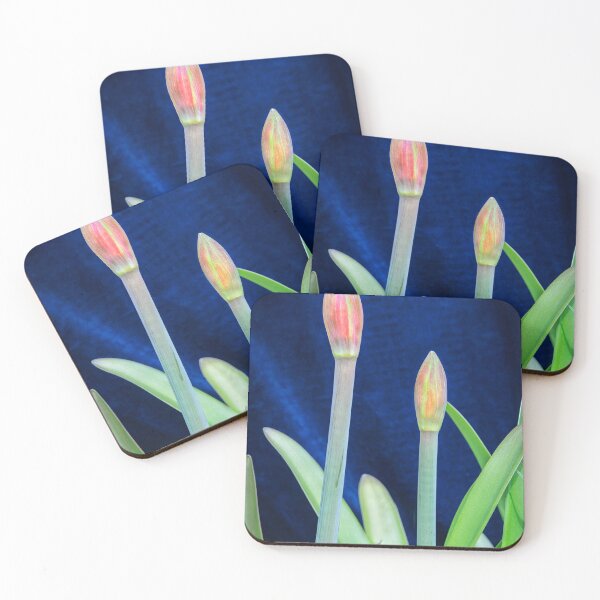 Item preview, Sweet Lillian Amaryllis Buds X190 designed and sold by RichFrancoCars.