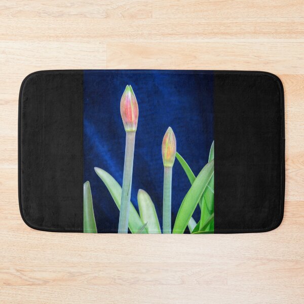 Item preview, Sweet Lillian Amaryllis Buds X190 designed and sold by RichFrancoCars.