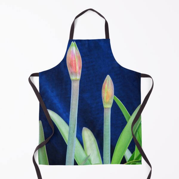 Item preview, Sweet Lillian Amaryllis Buds X190 designed and sold by RichFrancoCars.