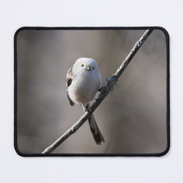 Item preview, Long-tailed tit Gray series 2 designed and sold by Jouko Lehto Photography.