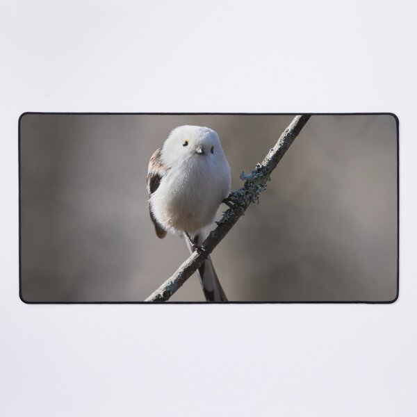 Item preview, Long-tailed tit Gray series 2 designed and sold by Jouko Lehto Photography.