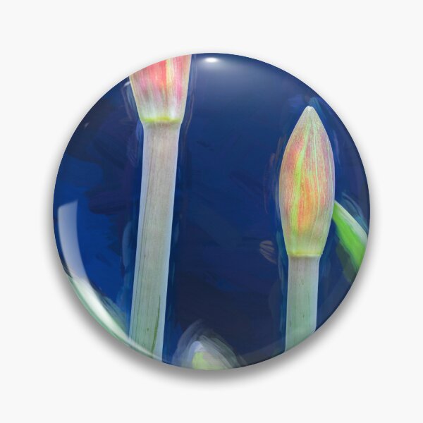Item preview, Sweet Lillian Amaryllis Buds X191 designed and sold by RichFrancoCars.