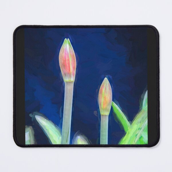 Item preview, Sweet Lillian Amaryllis Buds X191 designed and sold by RichFrancoCars.