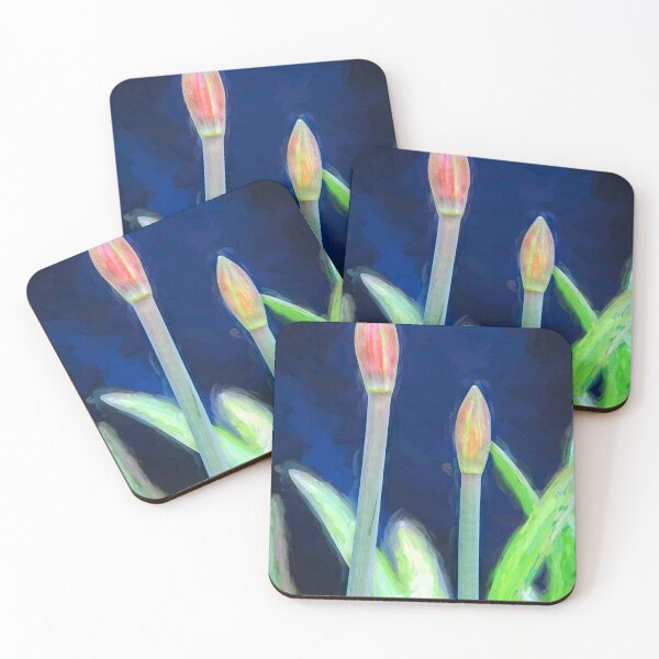 Item preview, Sweet Lillian Amaryllis Buds X191 designed and sold by RichFrancoCars.