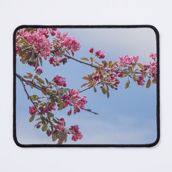 Item preview, Crab Apple Blossoms on a Breezy Day designed and sold by Gerda Grice Photography.