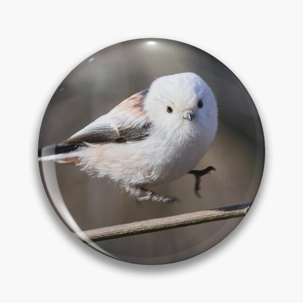 Item preview, The jump. Long-tailed tit Gray series 3 designed and sold by Jouko Lehto Photography.