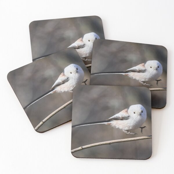 Item preview, The jump. Long-tailed tit Gray series 3 designed and sold by Jouko Lehto Photography.