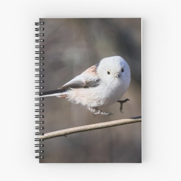 Item preview, The jump. Long-tailed tit Gray series 3 designed and sold by Jouko Lehto Photography.