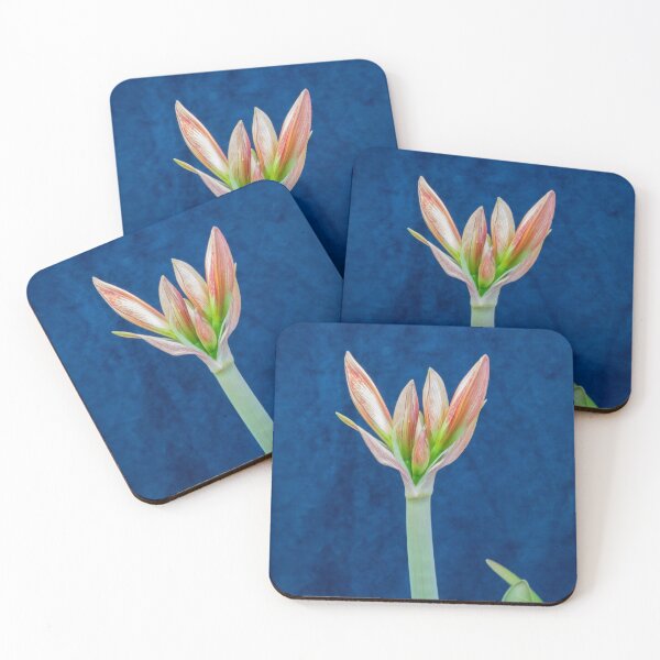 Item preview,  Sweet Lillian Amaryllis Buds X192 designed and sold by RichFrancoCars.