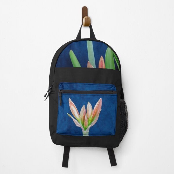 Item preview, Sweet Lillian Amaryllis Buds X192 designed and sold by RichFrancoCars.