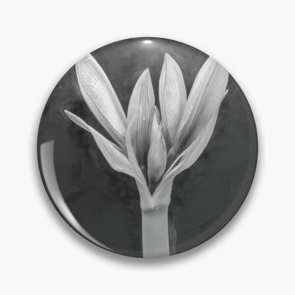 Item preview,  Sweet Lillian Amaryllis Buds X193 designed and sold by RichFrancoCars.