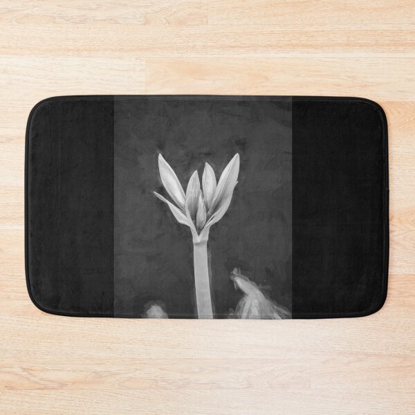 Item preview,  Sweet Lillian Amaryllis Buds X193 designed and sold by RichFrancoCars.