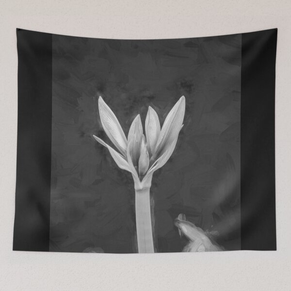 Item preview,  Sweet Lillian Amaryllis Buds X193 designed and sold by RichFrancoCars.
