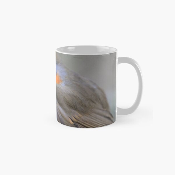 Robin at Conwy Classic Mug
