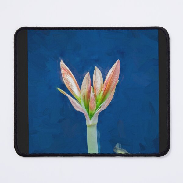 Item preview, Sweet Lillian Amaryllis Buds X194 designed and sold by RichFrancoCars.