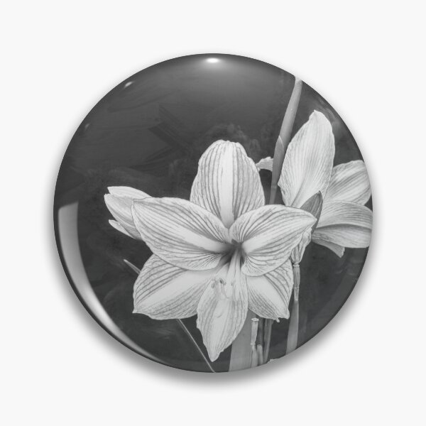 Item preview, Sweet Lillian Amaryllis And Iris Blooms X195 designed and sold by RichFrancoCars.
