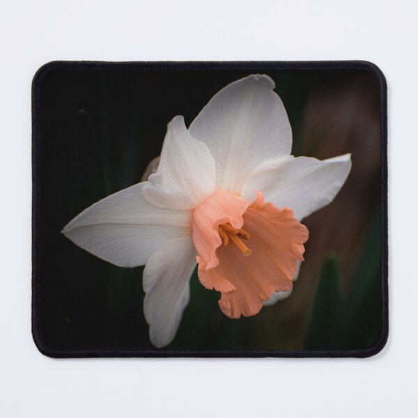 Item preview, Echo of Spring designed and sold by Hazardous Dreams Media.