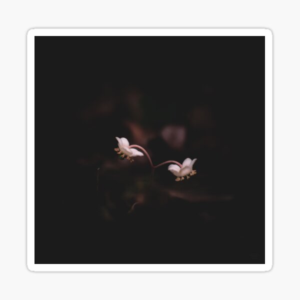 Item preview, Extraterrestrial Petals designed and sold by Hazardous Dreams Media.