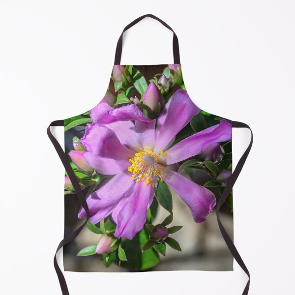 Item preview, Desert Rose Cactus X104 designed and sold by RichFrancoCars.