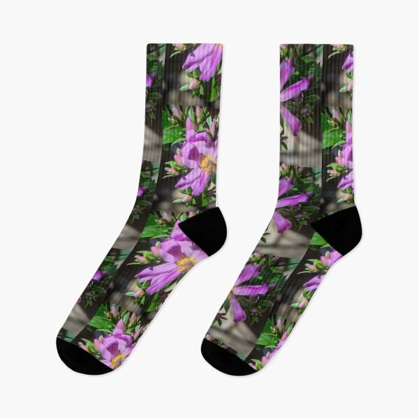 Item preview, Desert Rose Cactus X104 designed and sold by RichFrancoCars.