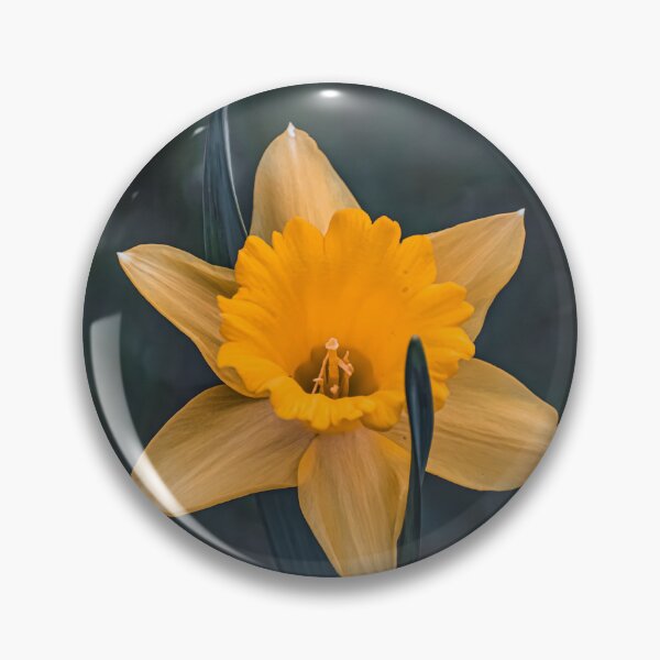 Item preview, A Radiant Awakening designed and sold by Hazardous Dreams Media.