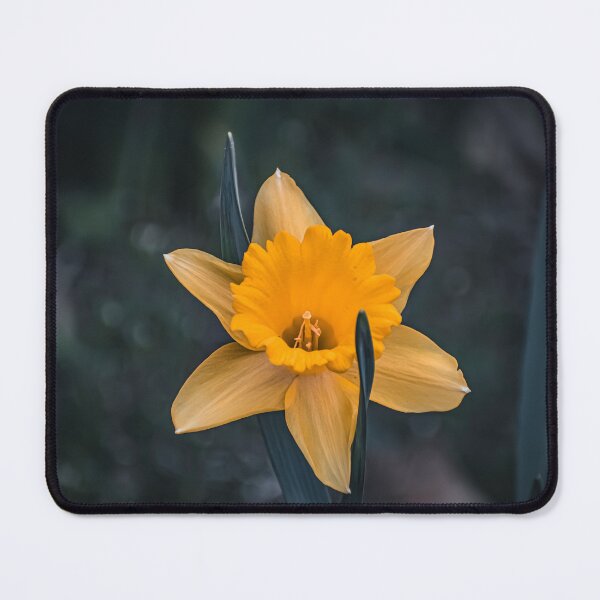 Item preview, A Radiant Awakening designed and sold by Hazardous Dreams Media.