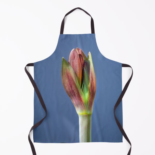 Item preview, Sweet Lillian Amaryllis Buds X400 designed and sold by RichFrancoCars.