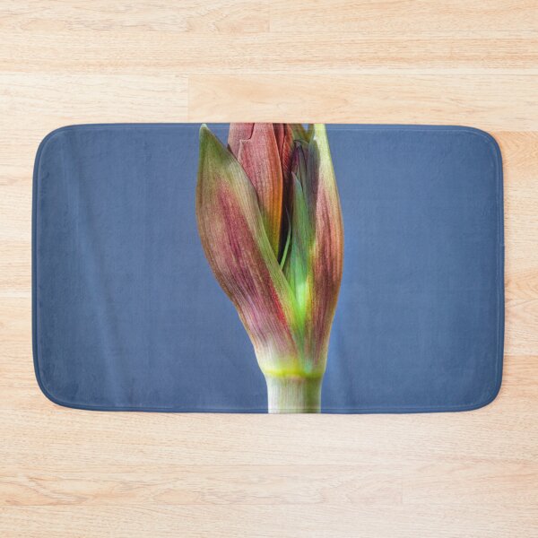 Item preview, Sweet Lillian Amaryllis Buds X400 designed and sold by RichFrancoCars.
