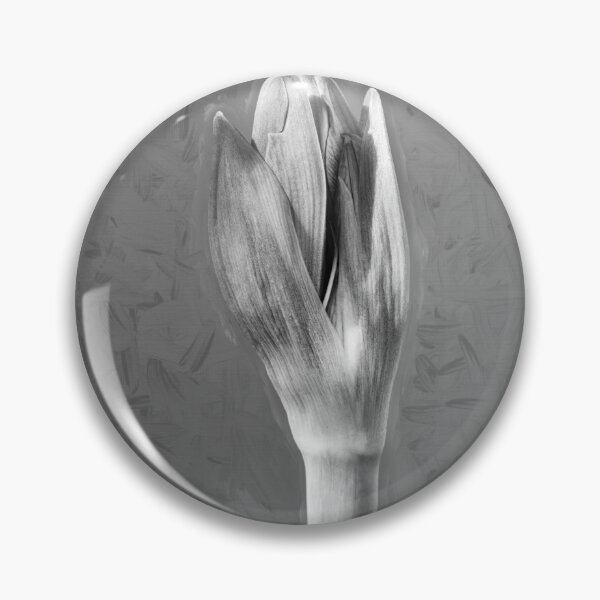 Item preview, Sweet Lillian Amaryllis Buds X401 designed and sold by RichFrancoCars.