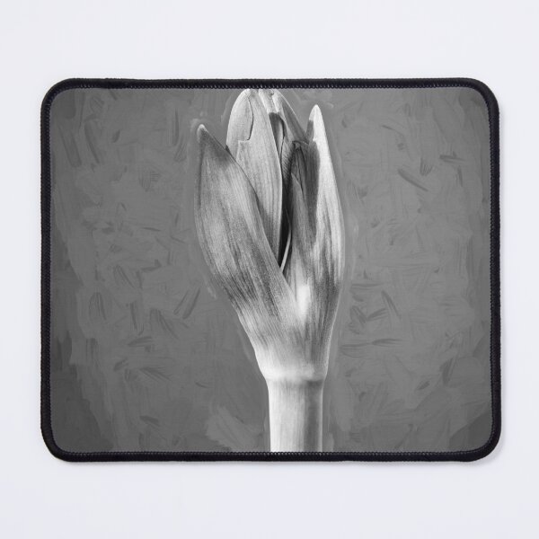 Item preview, Sweet Lillian Amaryllis Buds X401 designed and sold by RichFrancoCars.